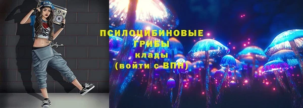 mdpv Пересвет