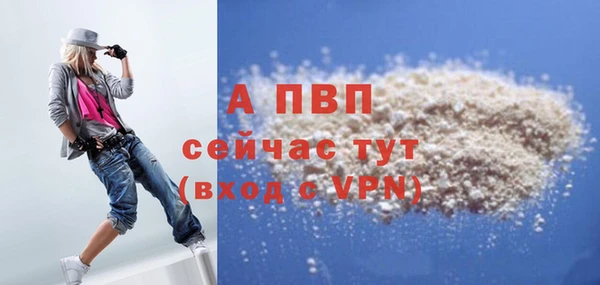 гидра Переславль-Залесский