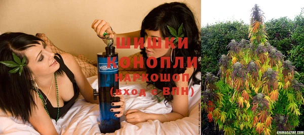 прущие грибы Тутаев