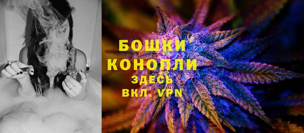 соль ск Осинники