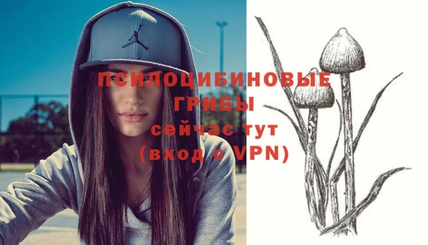 героин Пестово