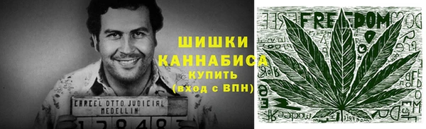 гидра Переславль-Залесский