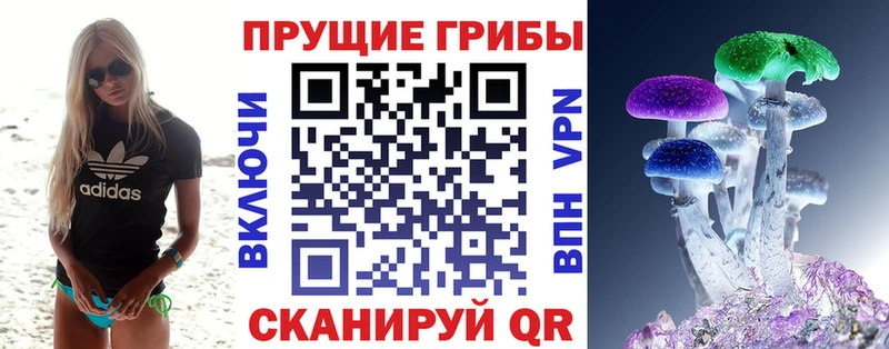 mega ССЫЛКА Абаза Псилоцибиновые грибы Psilocybe что такое